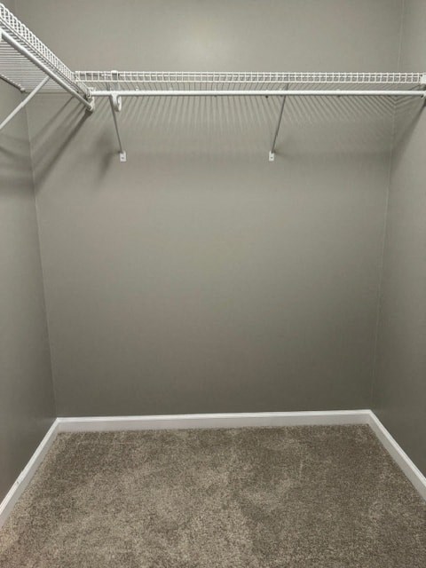 a walk in closet with a carpeted floor and an empty closet