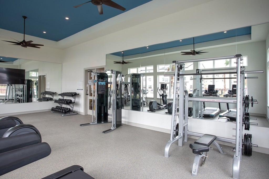 a gym with weights and mirrors in a luxury home