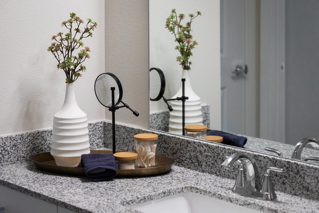 a bathroom counter with a sink and a mirror