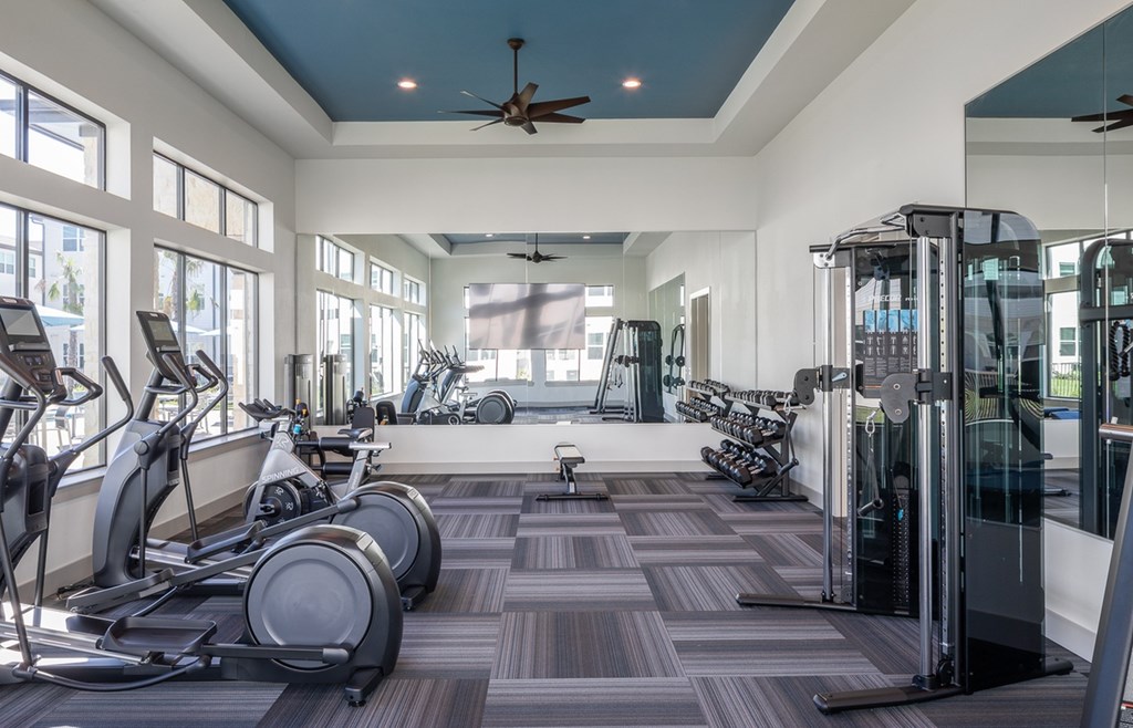 a gym with cardio equipment and windows in a home