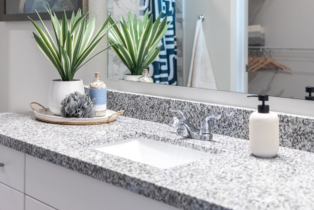 a bathroom counter with a sink and a mirror
