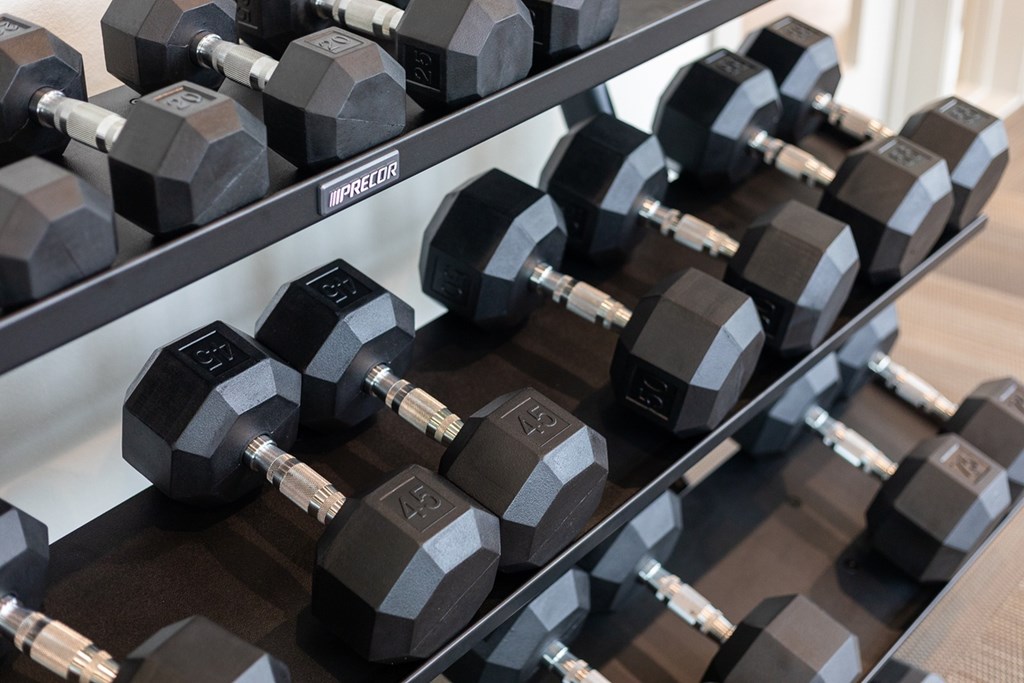 a rack of dumbbells in a gym