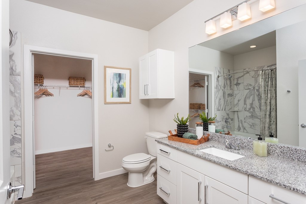 a bathroom with a shower toilet and sink and a mirror
