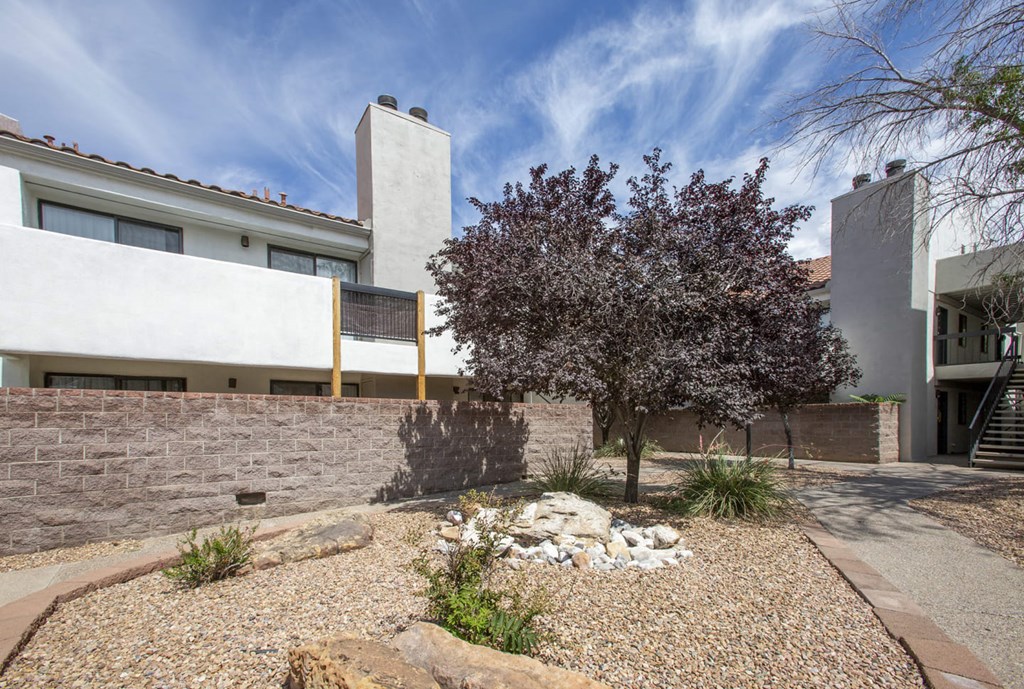 a courtyard with a tree in front of a house