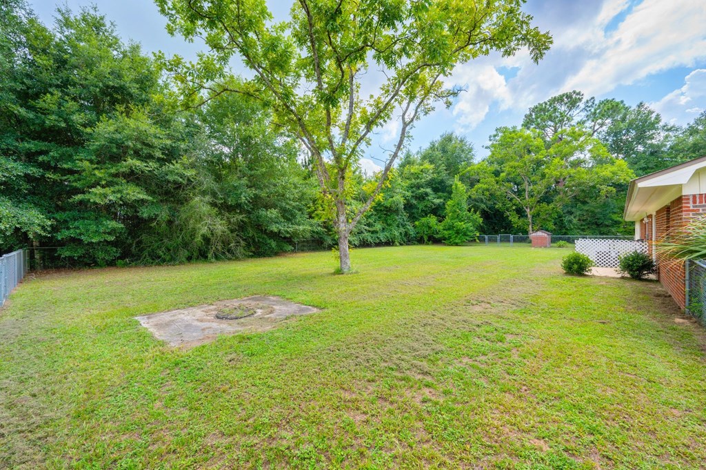 a yard with a tree and a house next to it