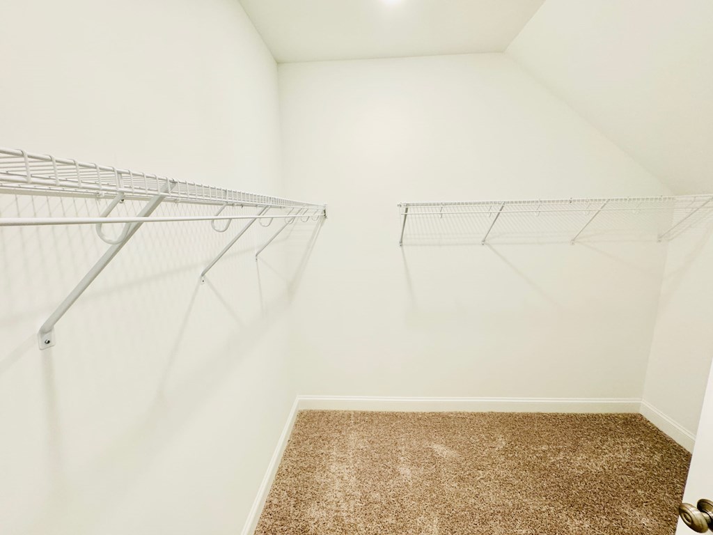 a room with two hanging racks on the wall and a carpeted floor