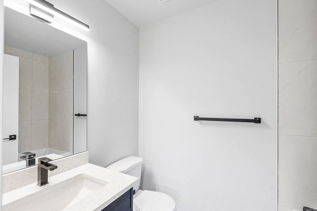 a bathroom with a sink and a toilet and a mirror