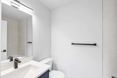 a bathroom with a sink and a toilet and a mirror