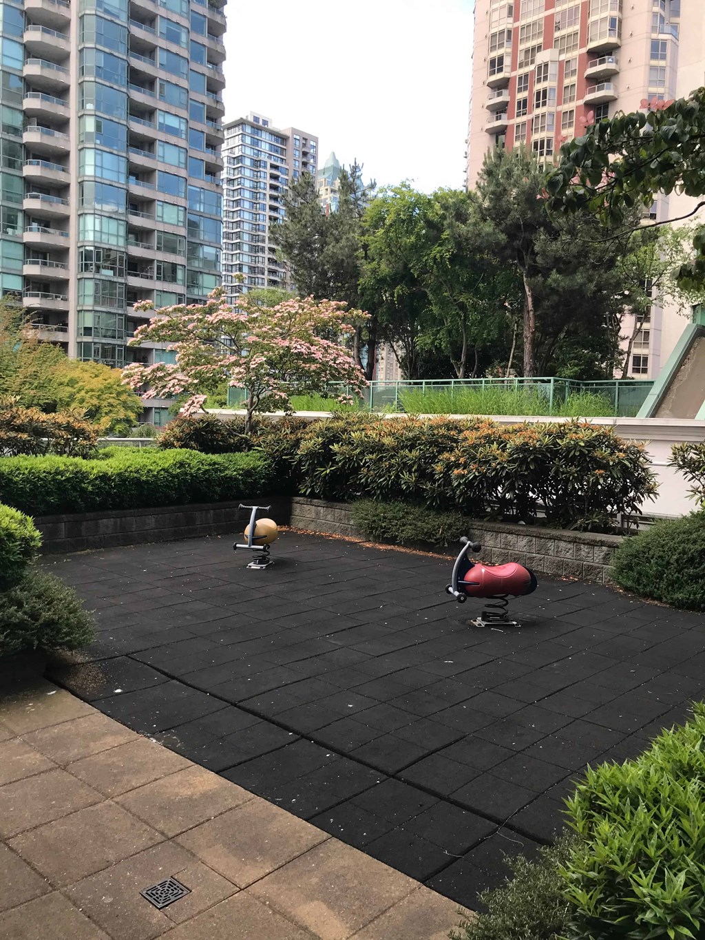 two peacocks walking on a patio in a city