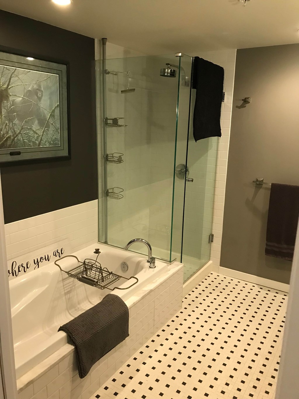 a bathroom with a shower and a bath tub