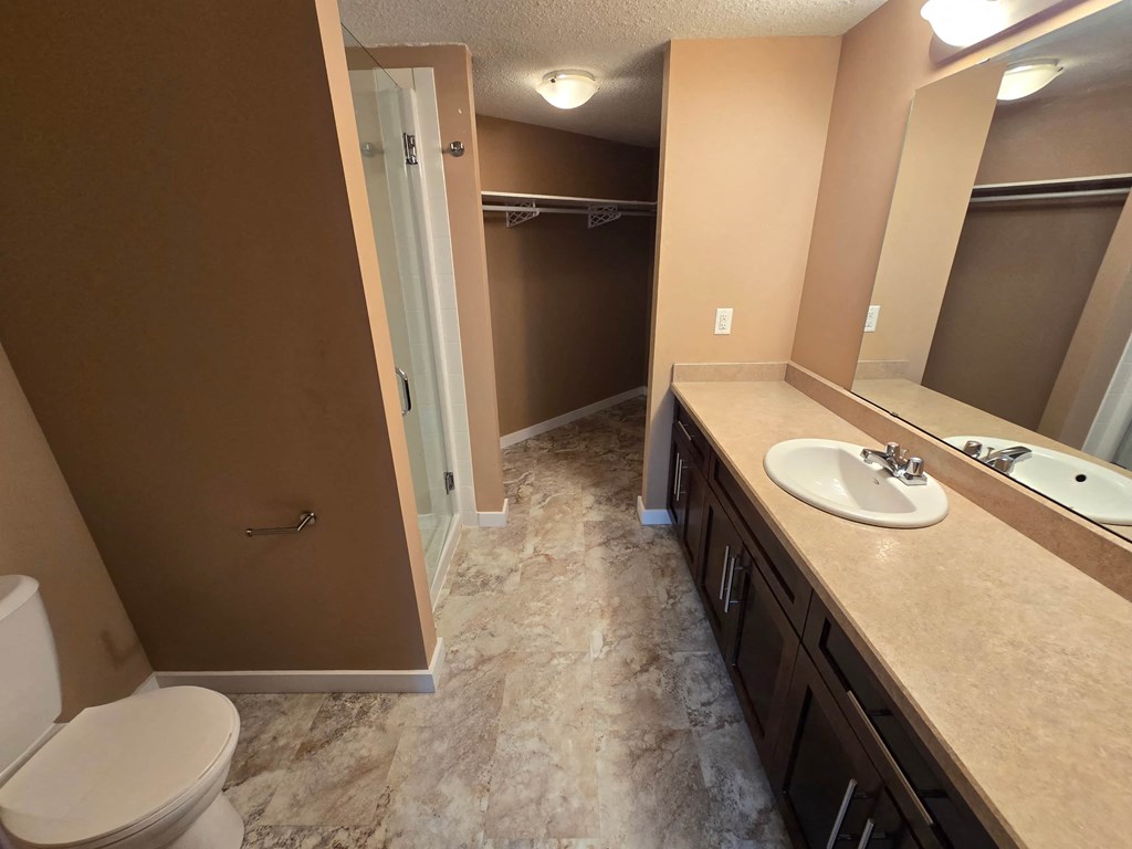 a bathroom with a sink toilet and a shower