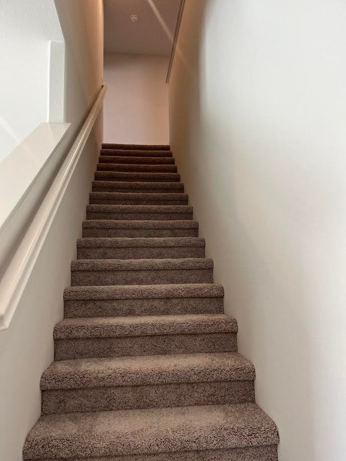a flight of stairs with carpet and white walls