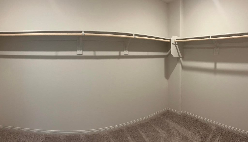 a room with two empty closets and a carpet