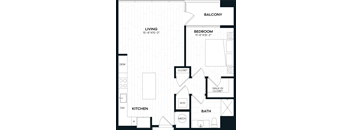 1 Bed/1 Bath-1K1 ALT