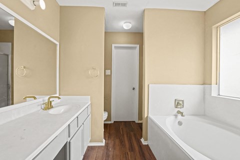 a bathroom with a tub and a sink and a mirror
