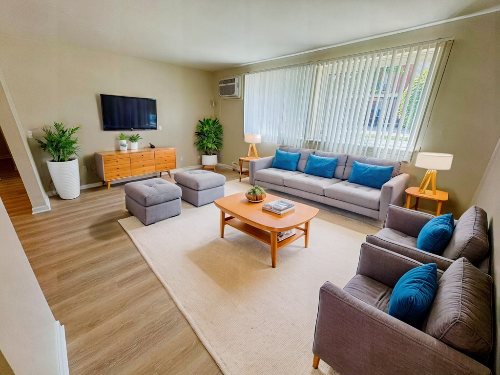 a living room with couches and a coffee table and a television