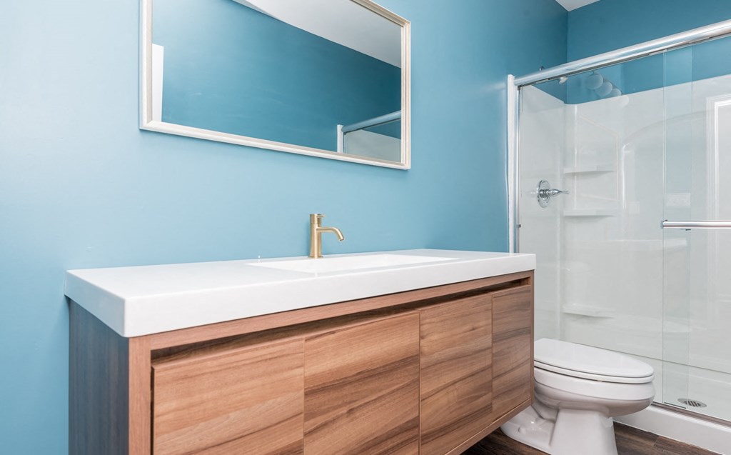 a bathroom with a sink and a toilet