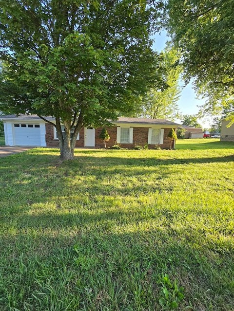 a yard with a tree in front of a house
