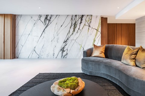 A round tray with a bowl of green moss sits on a black tray on a grey couch.