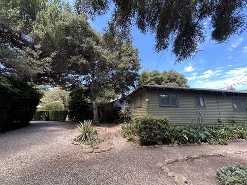 A house with a gravel driveway and a large tree in front.