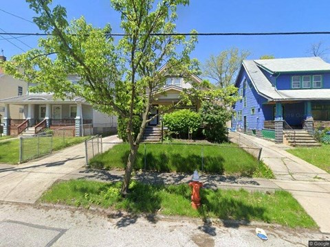 A tree in a front yard with a red fire hydrant.