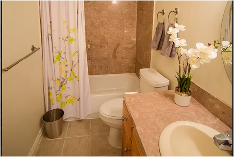 9202 17th Ave SW 2 Beds Apartment for Rent - Photo Gallery 2