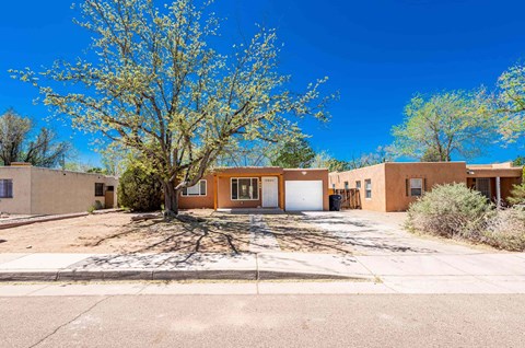 a brown house with a tree in front of it