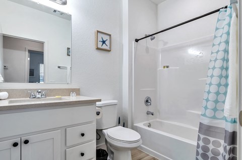 a bathroom with a shower and a toilet and a sink