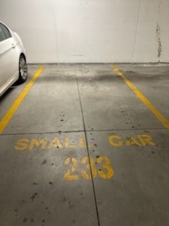 A parking space is marked for small cars only.