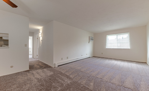 an empty living room with carpet and a window
