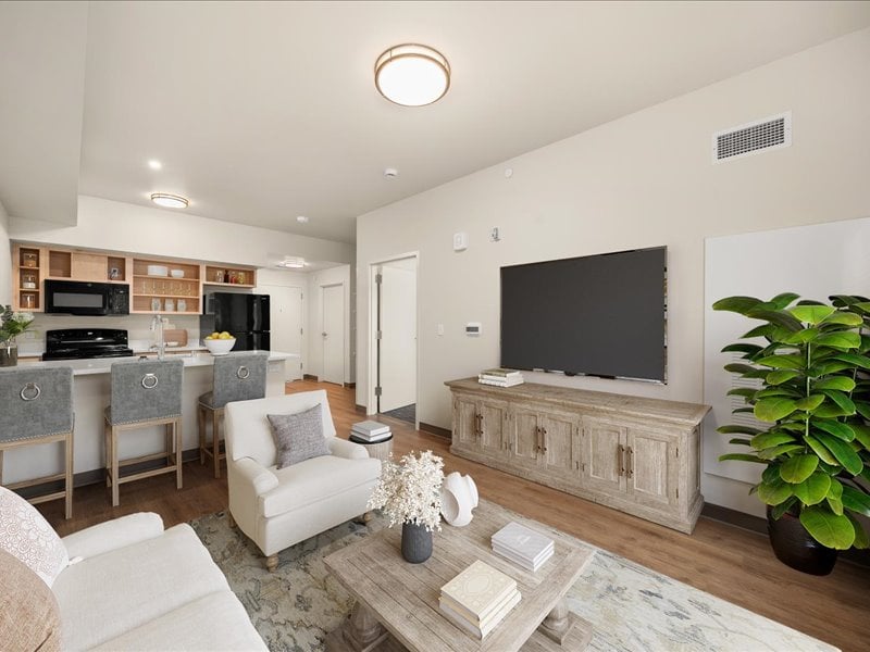 A modern living room with a grey sofa, a wooden coffee table, and a flat-screen TV.