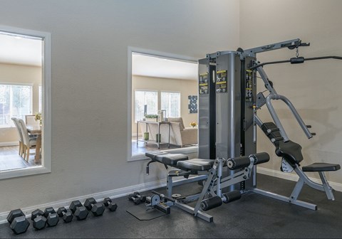 a home gym with weights and a punching bag