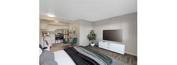 Renovated Studio