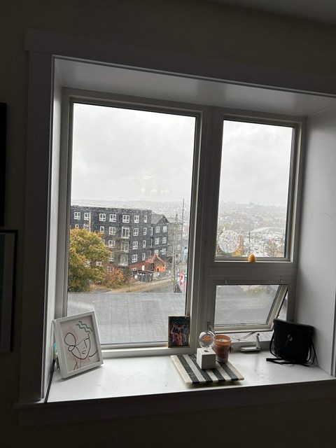 A window with a view of a street and buildings outside.