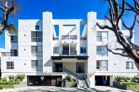 A white modern apartment building with a tree in front.