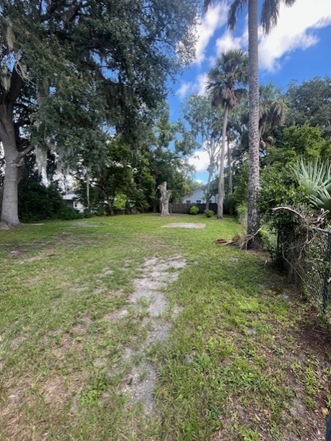 A backyard with a dirt path and green grass.