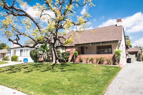the front of a house with a lawn and a tree