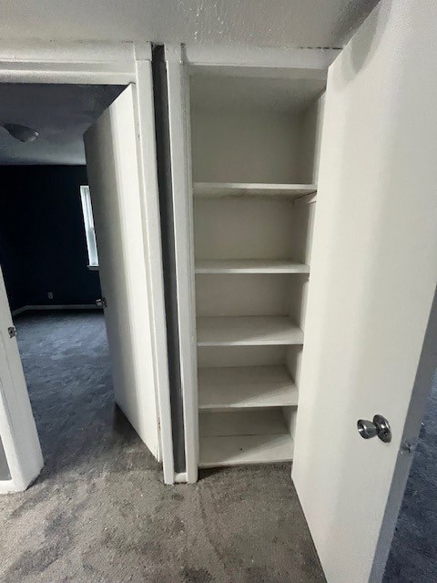 A white closet with shelves is open to a room with a black wall.