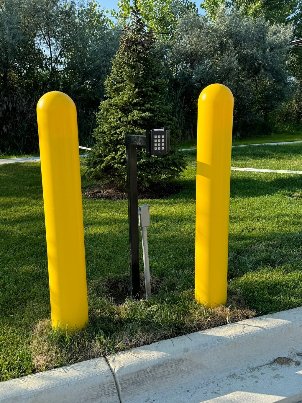 two yellow poles in the grass near a sidewalk
