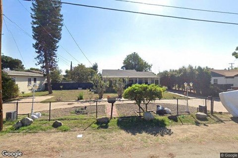 A backyard with a fence, a tree, and a small shrub.