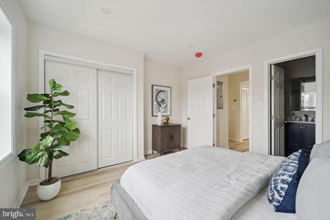 a white bedroom with a bed and a potted plant