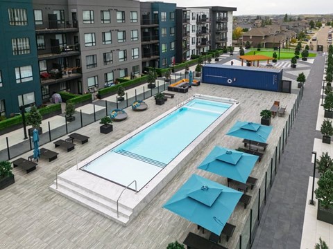 A large outdoor swimming pool surrounded by lounge chairs and umbrellas.