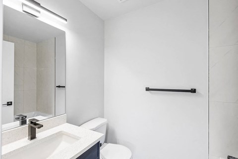 a bathroom with a sink and a toilet and a mirror
