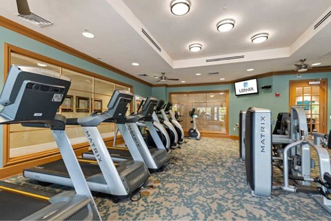 a gym with a row of treadmills and other exercise equipment