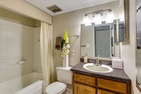 a bathroom with a sink toilet and a mirror