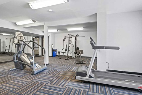 a gym with cardio equipment and weights in a building