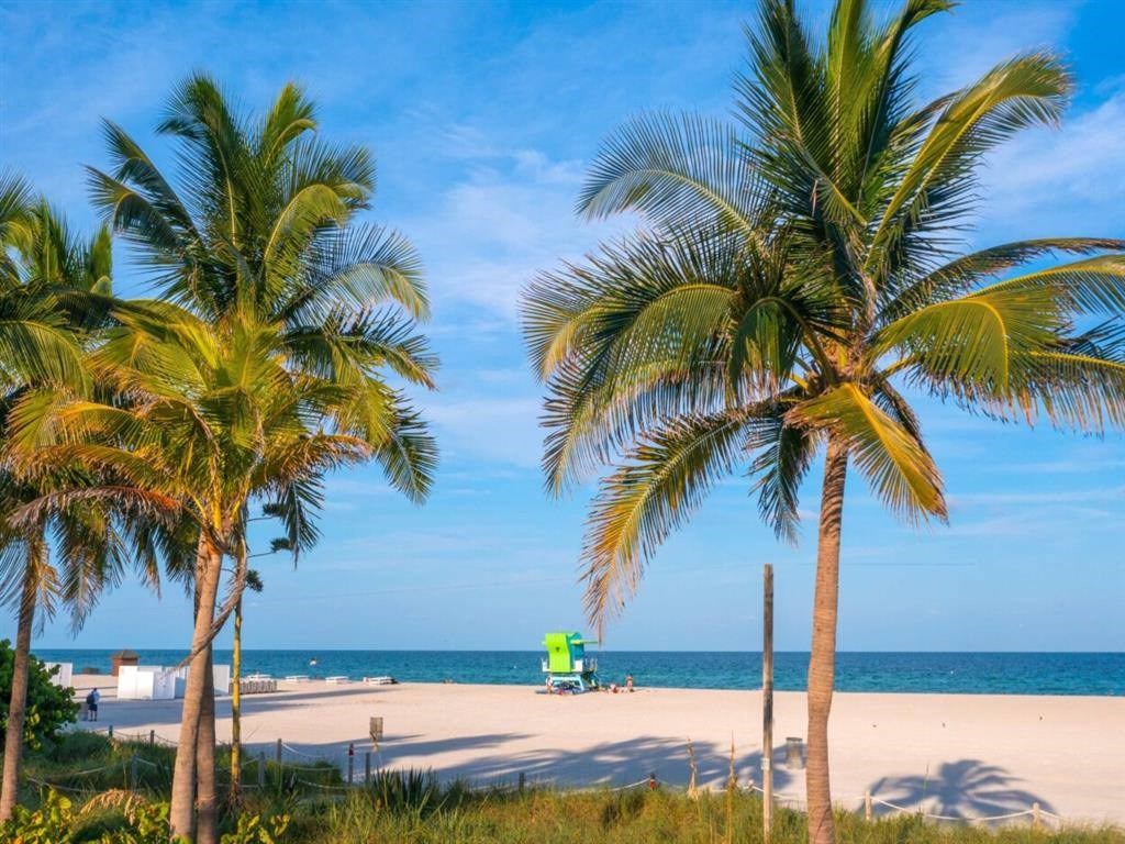 a beach with palm trees and the ocean in the background