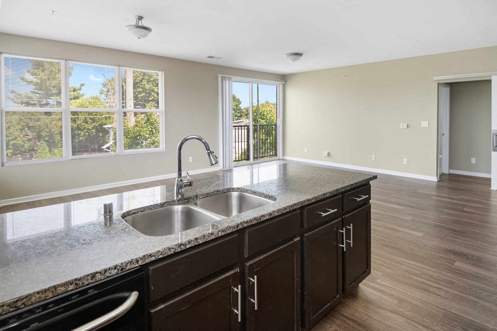 A kitchen with a sink and a window.