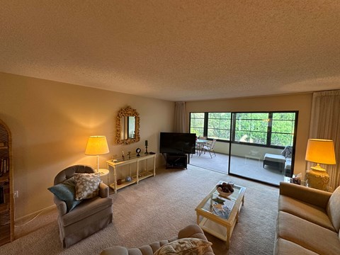 a living room with a couch and a tv