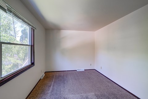 A room with a carpeted floor and a window letting in sunlight.